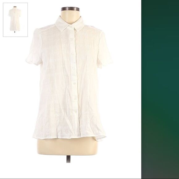 Max Studio Lightweight Short Sleeve Button-Down Shirt - Picture 10 of 11